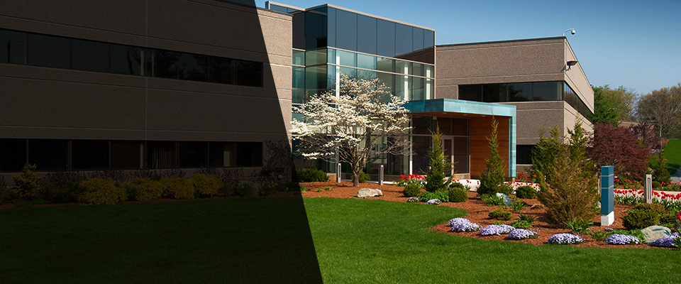 Saint Peter Landscapers