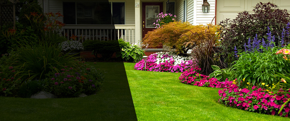 Saint Peter Landscapers